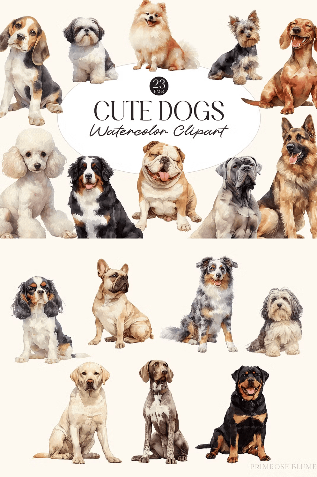 Watercolor Cute Dogs PNG Clipart - Hecavi - Illustrations Inspiration ...